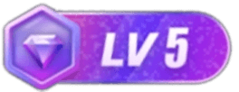 等级-LV5-展示云