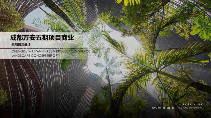 （商场步行街）1 2020 现代度假热带雨林风情成都商业地块方案-108页-展示云